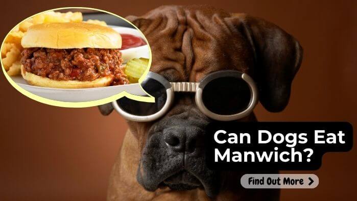 Can Dog Eat Manwich