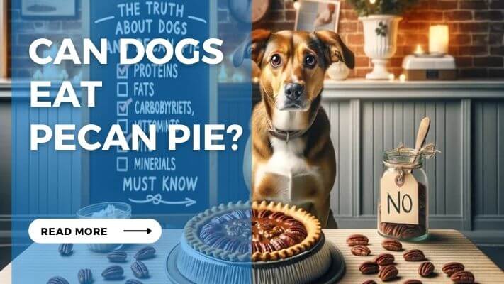 Can Dog Eat Pecan Pie