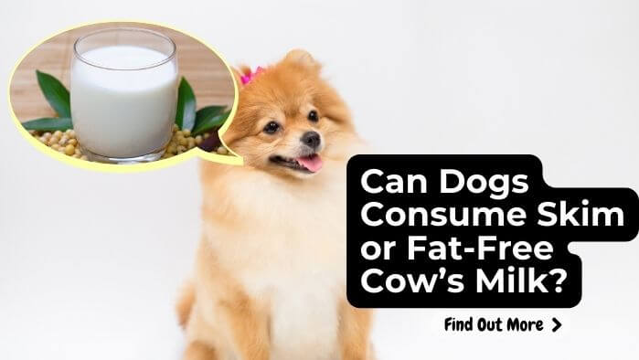 Can Dogs Consume Skim or Fat-Free Cow’s Milk