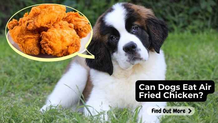 Can Dogs Eat Air Fried Chicken