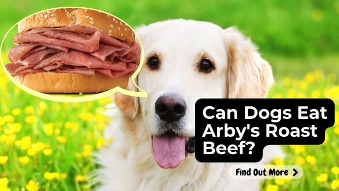 Can Dogs Eat Arby's Roast Beef