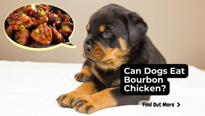 Can Dogs Eat Bourbon Chicken