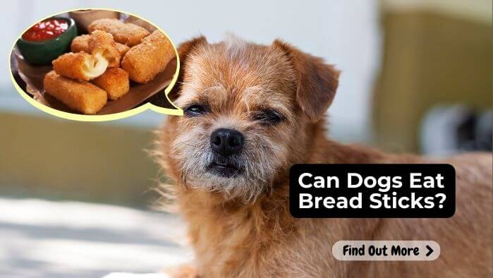 Can Dogs Eat Bread Sticks