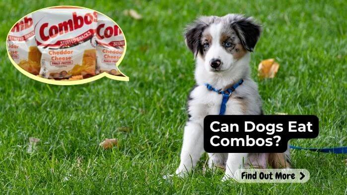 Can Dogs Eat Combos