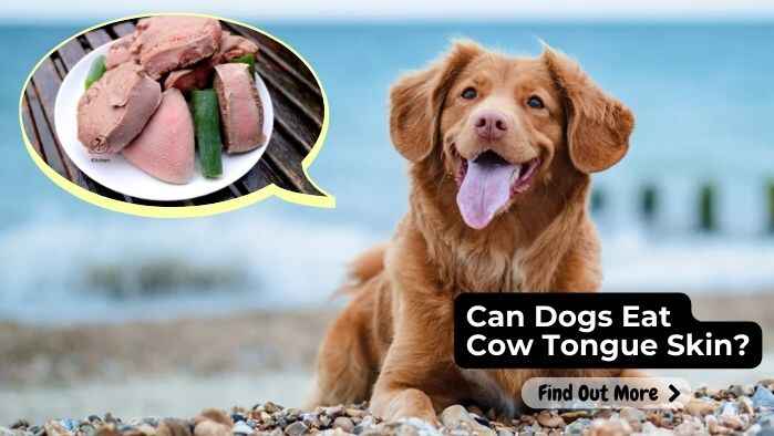 Can Dogs Eat Cow Tongue Skin