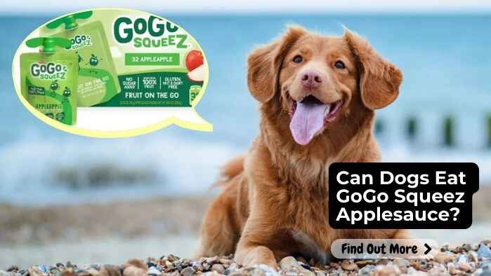 Can Dogs Eat GoGo Squeez Applesauce