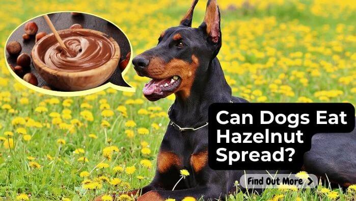 Can Dogs Eat Hazelnut Spread