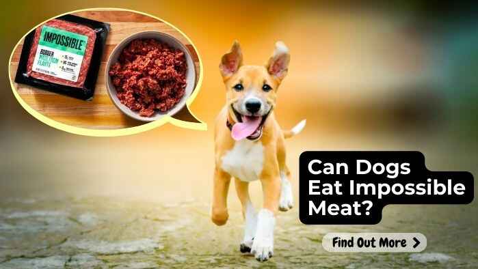 Can Dogs Eat Impossible Meat