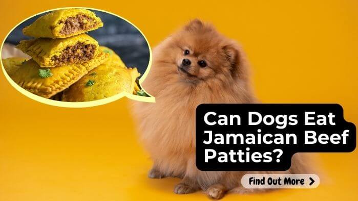 Can Dogs Eat Jamaican Beef Patties