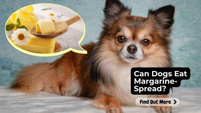 Can Dogs Eat Margarine Spread