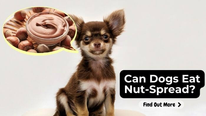 Can Dogs Eat Nut-Spread