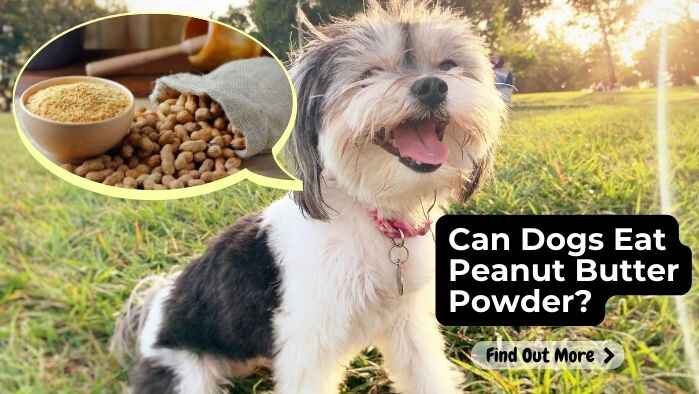 Can Dogs Eat Peanut Butter Powder