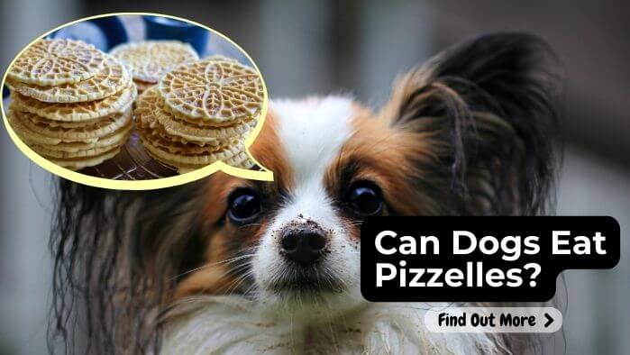 Can Dogs Eat Pizzelles