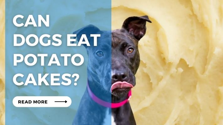 Can  Dogs Eat Potato  Cakes