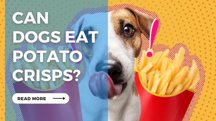 Can Dogs Eat Potato Crisps