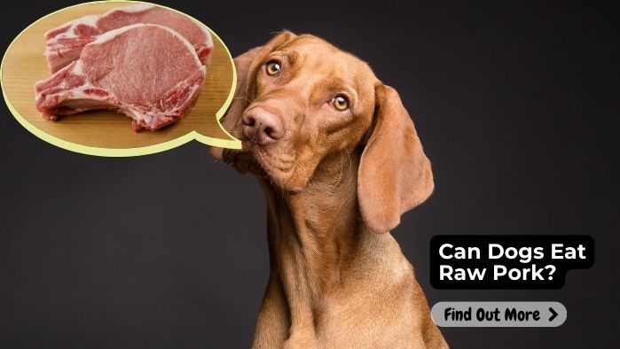 Can Dogs Eat Raw Pork