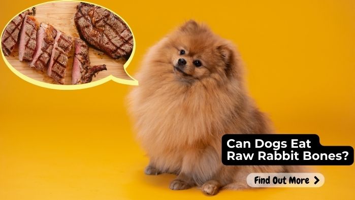 Can Dogs Eat Raw Rabbit Bones