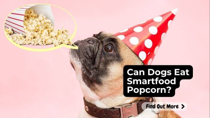 Can Dogs Eat Smartfood Popcorn