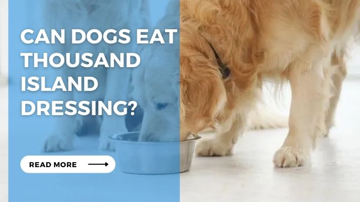 Can Dogs Eat Thousand Island Dressing