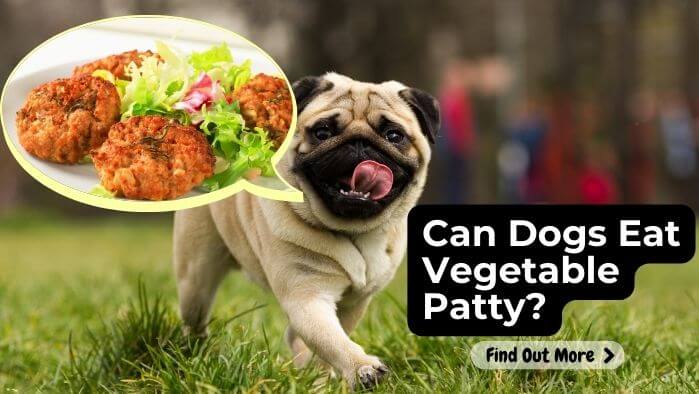 Can Dogs Eat Vegetable Patty