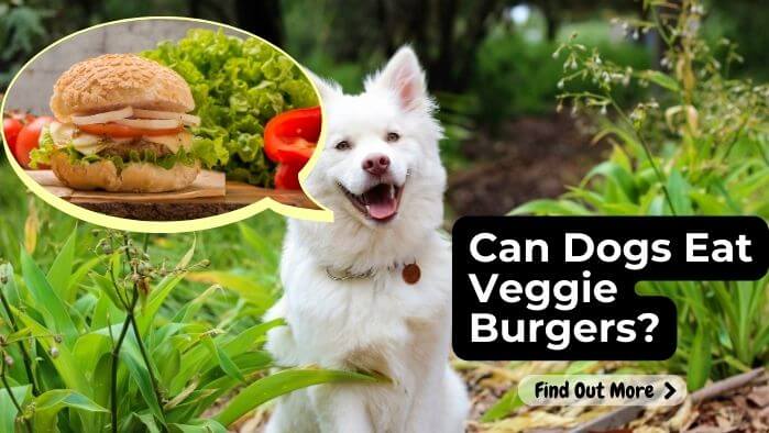 Can Dogs Eat Veggie Burgers
