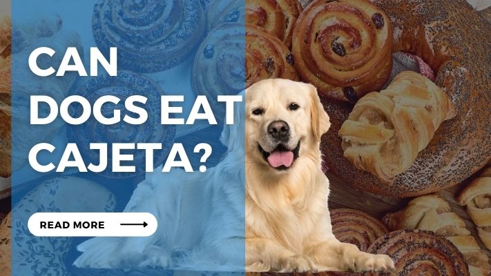 Can Dogs Eat cajeta