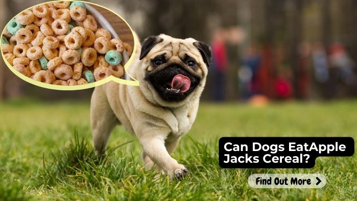 Can Dogs Eat Apple Jacks Cereal?