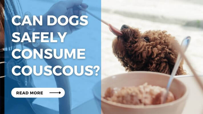 Can Dogs Safely Consume Couscous