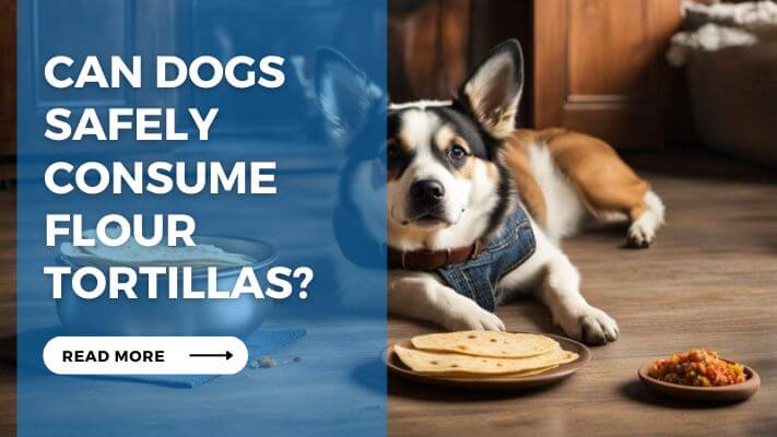 Can Dogs Safely Consume Flour Tortillas