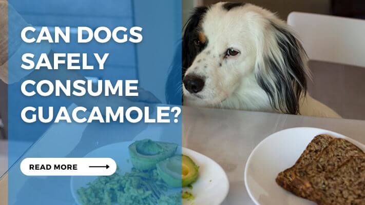 Can Dogs Safely Consume Guacamole