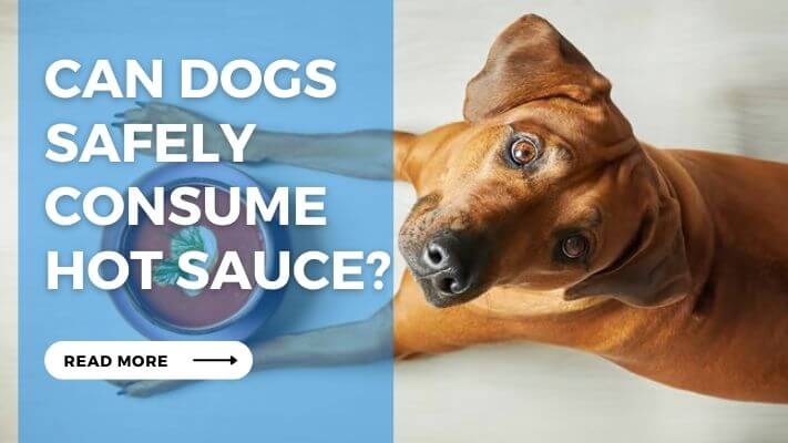 Can Dogs Safely Consume Hot Sauce