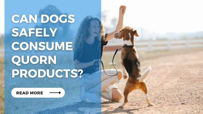 Can Dogs Safely Consume Quorn Products