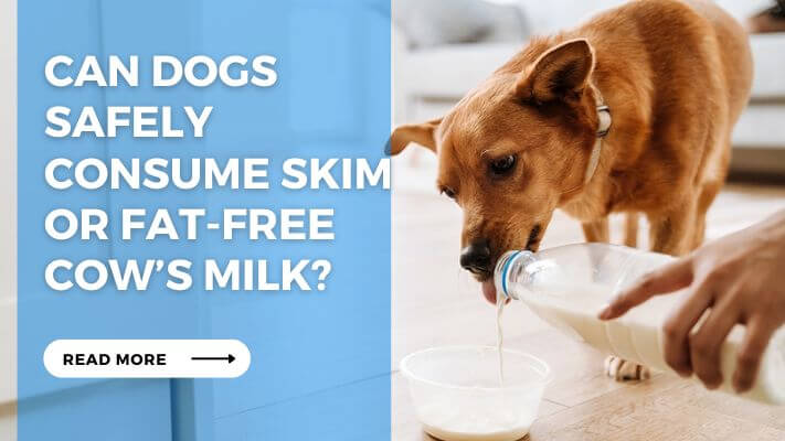 Can Dogs Safely Consume Skim or Fat-Free Cow’s Milk