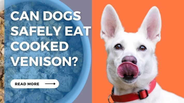 Can Dogs Safely Eat Cooked Venison