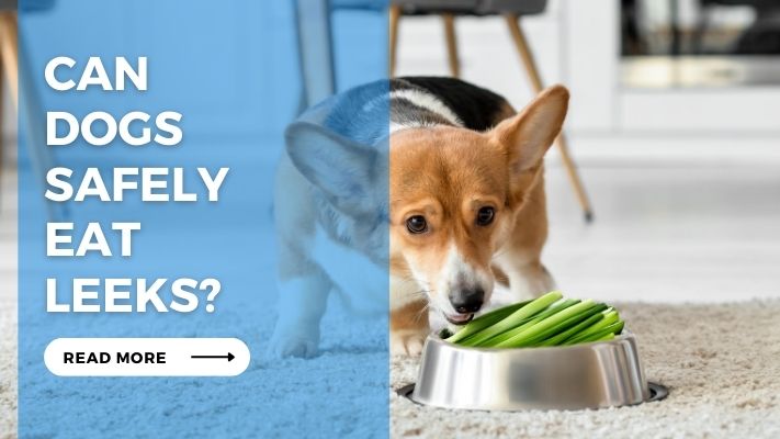 Can Dogs Safely Eat Leeks