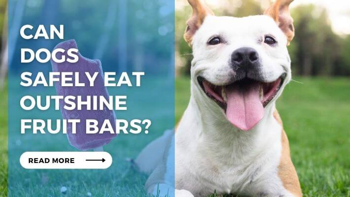 Can Dogs Safely Eat Outshine Fruit Bars