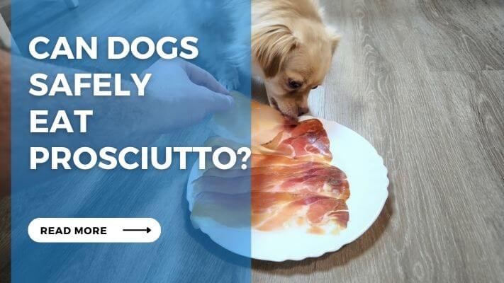 Can Dogs Safely Eat Prosciutto