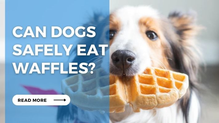 Can Dogs Safely Eat Waffles