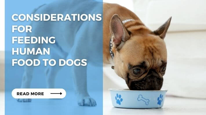 Considerations for Feeding Human Food to Dogs