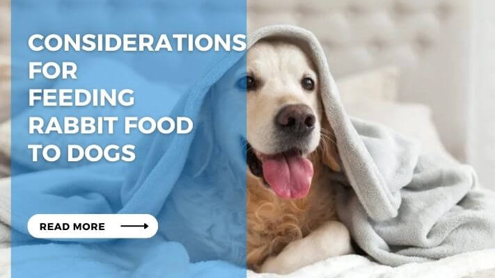 Considerations for Feeding Rabbit Food to Dogs