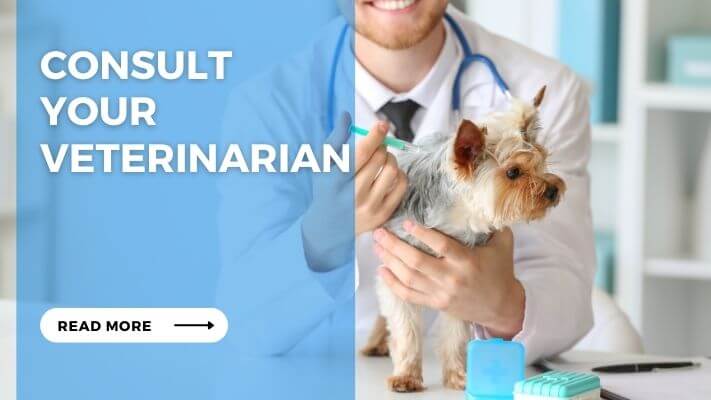 Consult Your Veterinarian