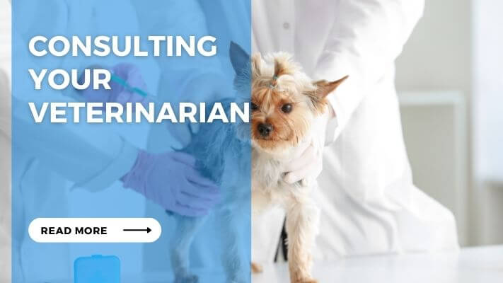 Consulting Your Veterinarian