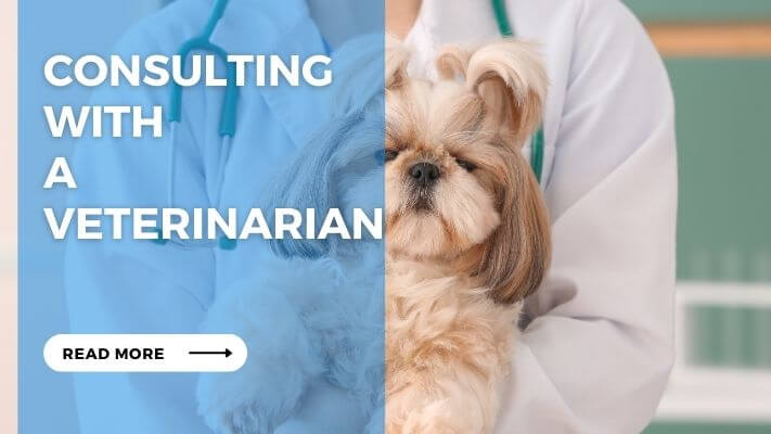 Consulting with a Veterinarian