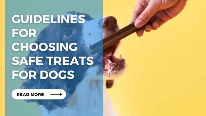 Guidelines for Choosing Safe Treats for Dogs