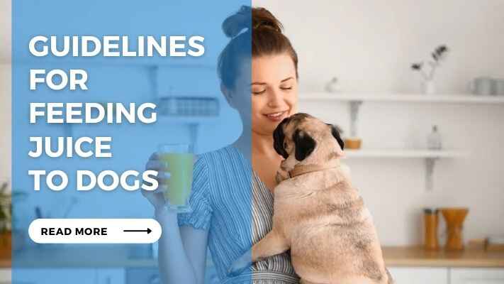 Guidelines for Feeding Juice to Dogs 