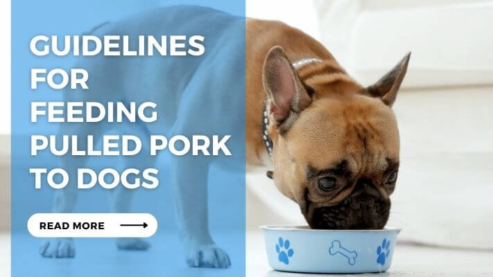 Guidelines for Feeding Pulled Pork to Dogs