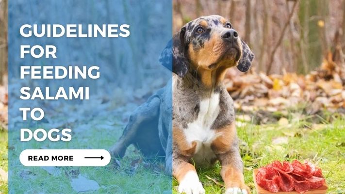 Guidelines for Feeding Salami to Dogs