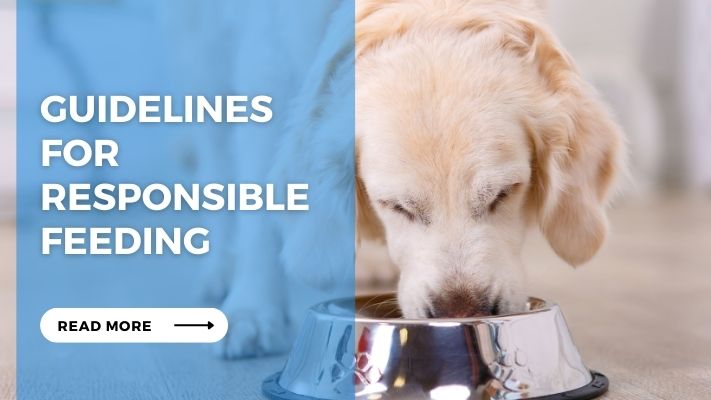 Guidelines for Responsible Feeding