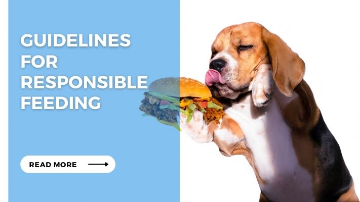 Guidelines for Responsible Feeding