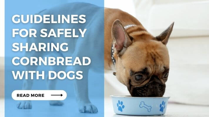 Guidelines for Safely Sharing Cornbread with Dogs